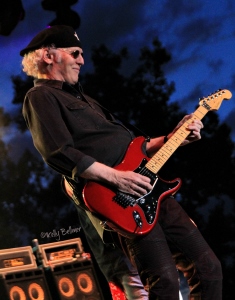 Click here to see the slideshow